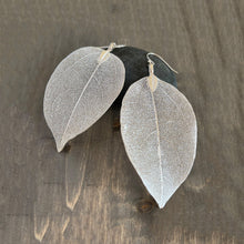 Load image into Gallery viewer, Real Leaf Sterling Silver Earrings