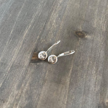 Load image into Gallery viewer, dragonfly earrings